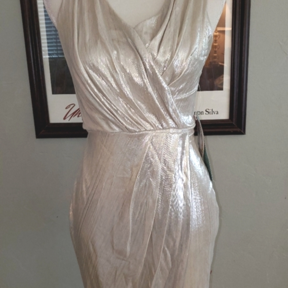 Silver Holiday Party Dress